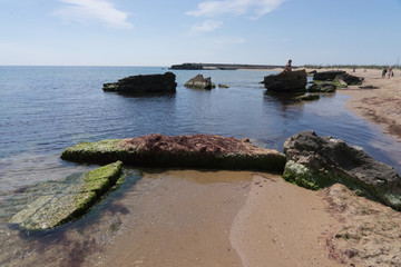 Mit Grünalgen überwucherte Felsen am Strand