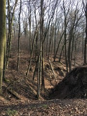 Obraz premium Ein V-Tal im Wald auf der Gemarkung von Fellbach im Rems-Murr-Kreis.