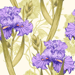 Nahtloses Vektormuster mit Blumeniris. © marinavorona
