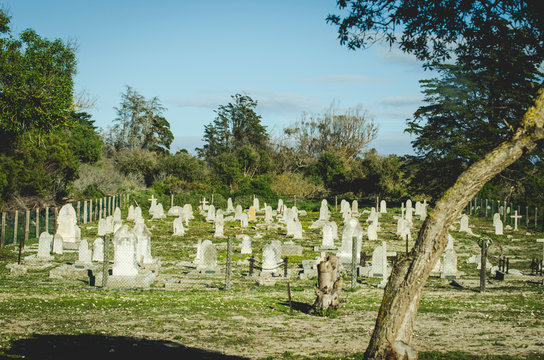 Cemetery Graveyard Nature Surroundings War Mass Grave Tomb Stones 