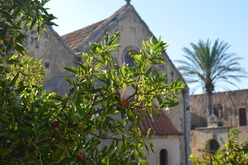 Jardin du Monastère d'Arkadi