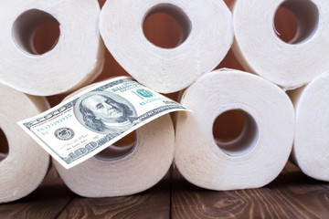 Rolls of toilet paper next to a hundred dollar bill