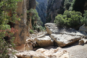 Obraz premium Canyon Torrent de Pareis, Mallorca, Spain