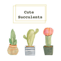 Watercolor illustration of a set of multi-colored cacti in pots. Hand-drawn with watercolors and suitable for all types of design and printing.