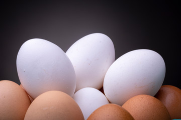 Clean round white eggs on top of several light brown chicken eggs in studio soft even lighting contrasted against a dark grey background forming a kind of crown