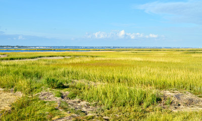Fototapeta na wymiar A sweeping expanse of salt marsh on Long Island's south shore. Westhampton Beach, NY. Copy space.