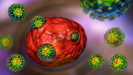 Coronaviruses Covid-19 infecting human cell