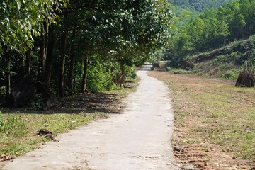 Obraz premium lovely landscape in the bach ma national park