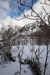 Lofoten – Winter im Hohen Norden