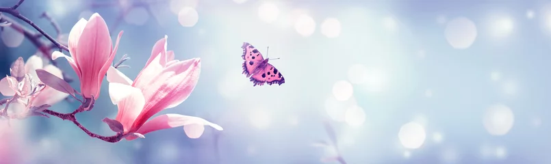 Foto op Plexiglas Lente bloeiende roze magnolia bloemen en fladderende vlinder op fantasie mysterieuze achtergrond met bokeh, fantastische sprookje artistieke bloemen banner met kopie ruimte © julia_arda