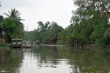 Fototapeta na wymiar rural landscape at song hau river in vietnam
