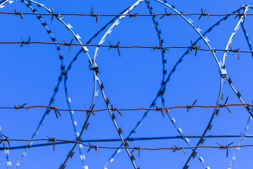 The barbed wire silhouette on the background of blue sky