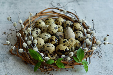 Easter wreath of grape branches, willow flowers, quail feathers and eggs on light cement background. Copy space for greeting text, Happy Easter card, top view.