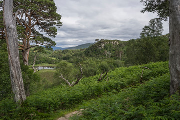 Fototapeta na wymiar Hiking path in the western highlands.