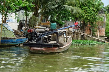 Fototapeta premium rural landscape at song hau river in vietnam