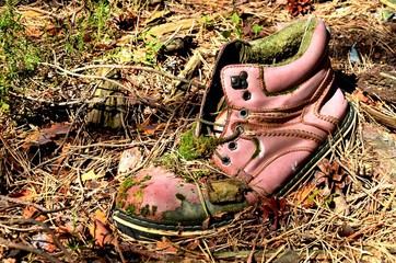 an old moss-covered boot lying in the forest. trash in the forest, clogged planet