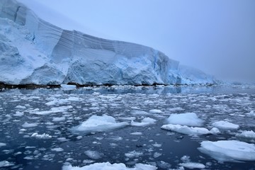 Neko Harbour , Antarctica 
