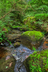 Gorges du Corong et la rivière de Follezou