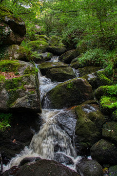 Gorges du corong, c&ocirc;tes d'armor