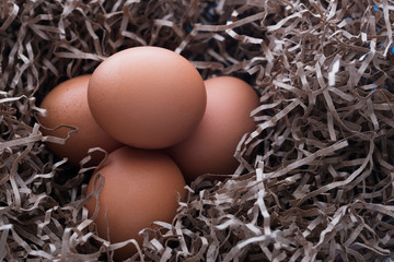 chicken eggs in a nest of paper