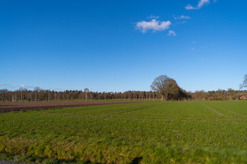 A panoramic shot of the northern German countryside on a bright sunny day