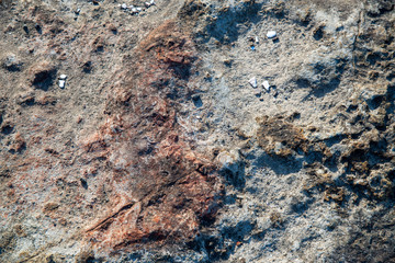 波打ち際　漂流物