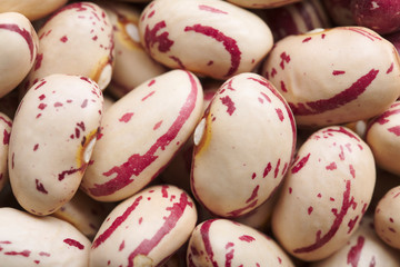 Fototapeta na wymiar Dry pinto beans close-up macro