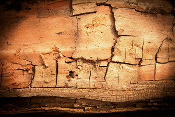 Retro styled image of beautiful natural wood texture with cracks as natural background for design