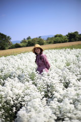 Woman standing in Cutter flower fields at Mae Rim district, Chiang Mai, Thailand.