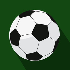 Soccer ball icon. White-black soccer ball on a green background. Sports Equipment