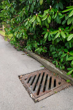 Gullydeckel auf einem Friedhof (Todesfalle f&uuml;r Kleintiere)  - Manhole cover on a cemetery