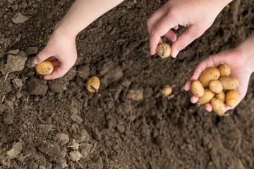 A new generation with a new approach in agriculture. Parents teach their child their skills.
