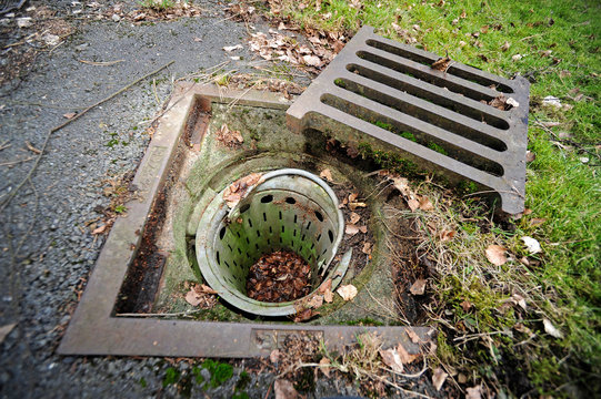 ge&ouml;ffneter Gullydeckel mit Auffangeimer (Todesfalle f&uuml;r Kleintiere)  - open manhole cover (Death trap for small animals)