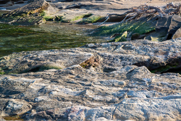 磯　観音崎公園