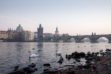 Charles bridge in Prague