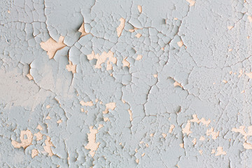 Texture of old paint.Old paint is chipping on the weather conditions. It is a conceptual wall...