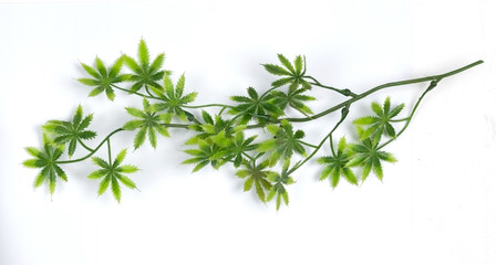 Artificial marijuana branch on a white background.