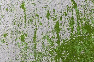 Green and grey old wall texture.  Old cracked painted green and grey wall. Creative background. 