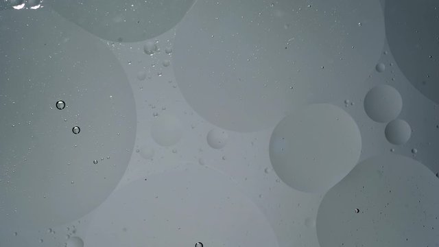 Grey oil bubbles. circulation movement of round bubbles in liquid, Bubbles macro shot. abstract smartphone home screen, themes or background, another dimension science laboratory experiment progress 