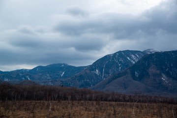 山岳風景　戦場ヶ原　曇り