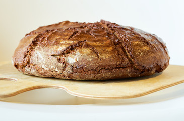 Roggenbrot mit Altbierkruste mit Dinkelvollkorn auf Holzbschieber frisch aus dem Ofen