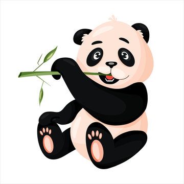 Vector panda eating bamboo isolated on white background. Cute baby panda, flat stock vector illustration. Panda eats a bamboo. Minimal image