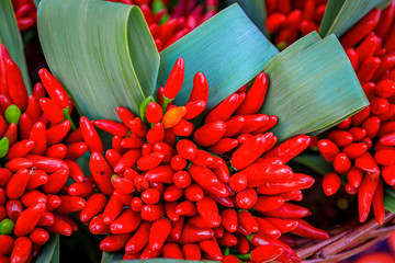 Bunches of red chili pepper ristras on display at a farmer's market in Venice by the canals