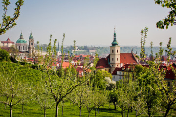 Scenic View from Petrin Park towards Saint Nikolas Cathedral, through fresh spring blooming trees, Prague