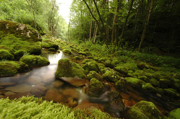 Mountain river in Slovenia, dreamy scenery, moss-covered stones