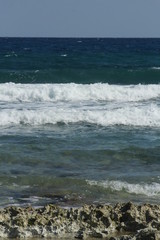 Naturaleza y Paisaje (Playa)