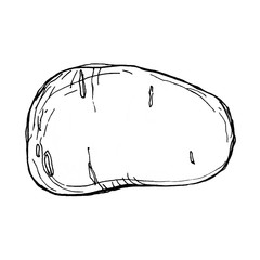 Potato hand drawn illustration isolated on white background Fresh organic food. Black and white. Linear. Vegetable. For logo, menu, icon, farmers market, packing.