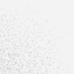 Network Mesh Random Procedural Art background illustration