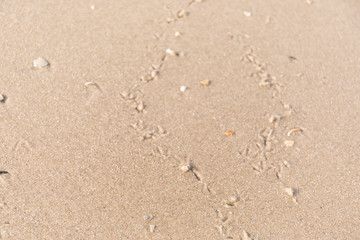 piasek © kolorowekadry