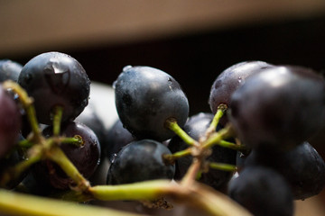 bunch of grapes